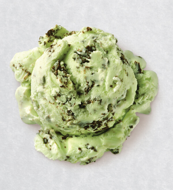 Mint Chocolate Chip Ice Cream