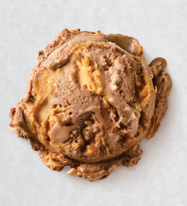 Peanut Butter Chip Ice Cream